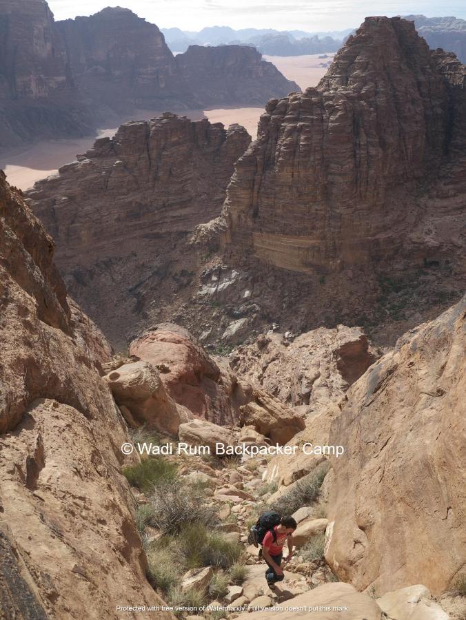 Wadi Rum Backpacker Camp Εξωτερικό φωτογραφία