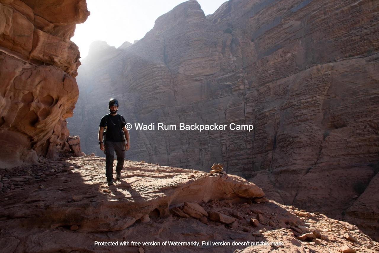 Wadi Rum Backpacker Camp Εξωτερικό φωτογραφία